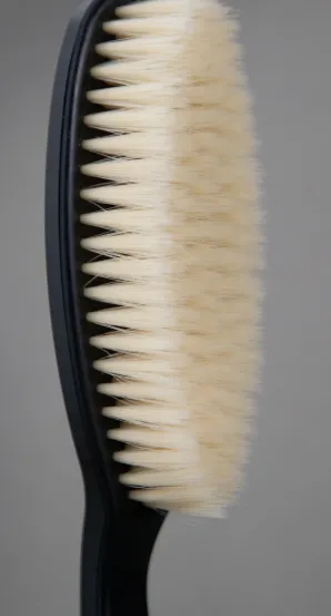 Cepillo sacudidor Negro